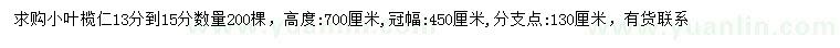 求購13-15公分小葉欖仁