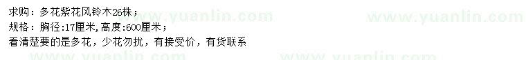 求購胸徑17公分多花紫花風(fēng)鈴木
