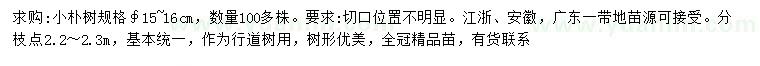 求購胸徑15-16公分樸樹
