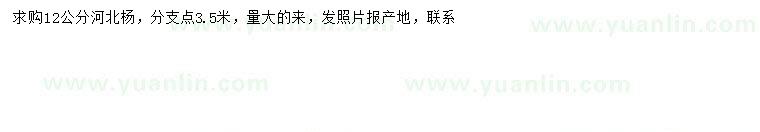 求購(gòu)12公分河北楊