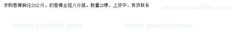 求購(gòu)胸徑23公分香樟