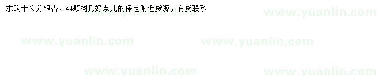 求購10公分銀杏