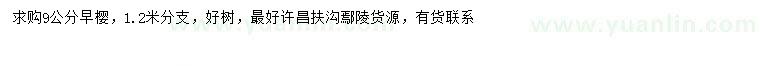 求購9公分早櫻