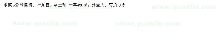 求購(gòu)6公分國(guó)槐