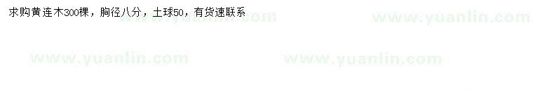 求購胸徑8公分黃連木