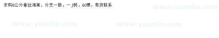 求購(gòu)8公分垂絲海棠