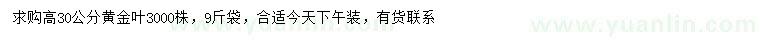 求購高30公分黃金葉