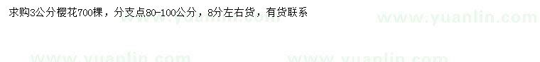 求購3公分櫻花