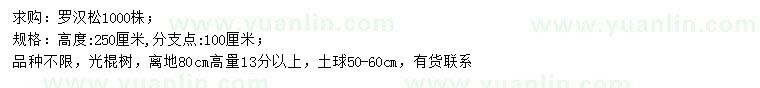 求購(gòu)80量13公分以上羅漢松