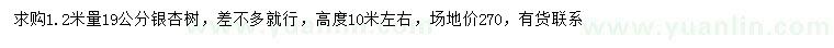 求購1.2米量19公分銀杏