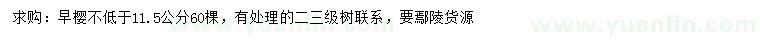 求購(gòu)11.5公分以上早櫻
