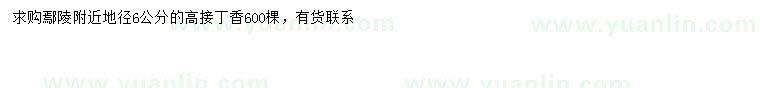 求購(gòu)地徑6公分高接丁香