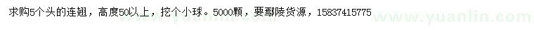求購高50公分以上連翹