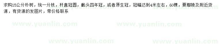 求購15公分樸樹