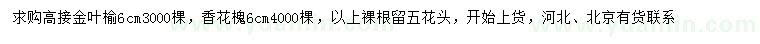 求購(gòu)6公分高接金葉榆、香花槐