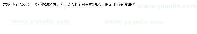 求購胸徑20公分國槐