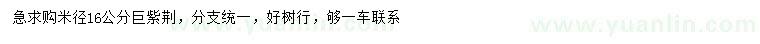 求購米徑16公分巨紫荊