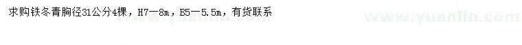 求購胸徑31公分鐵冬青