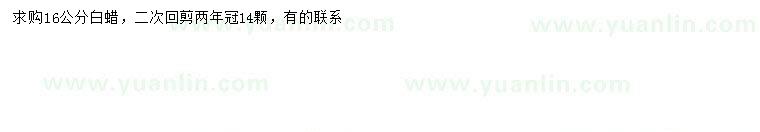 求購16公分白蠟