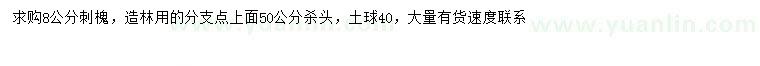 求購8公分刺槐