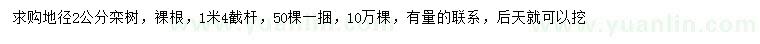 求購地徑2公分欒樹