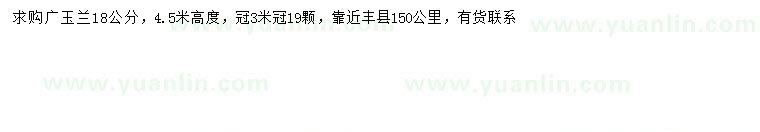 求購(gòu)18公分廣玉蘭