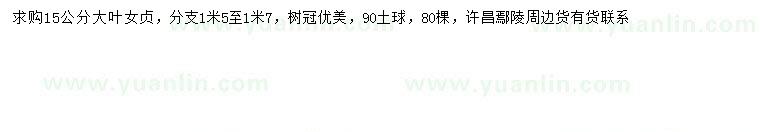 求購(gòu)15公分大葉女貞