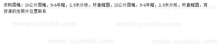 求購(gòu)20、23公分國(guó)槐