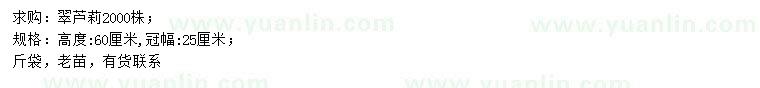 求購(gòu)高60公分翠蘆莉