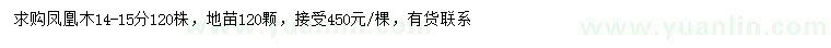求購14-15公分鳳凰木