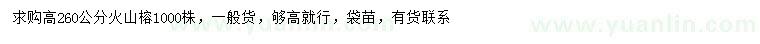 求購高260公分火山榕