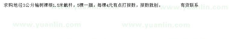 求購地徑3公分榆樹