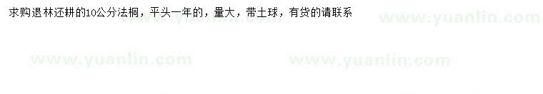 求購10公分法桐