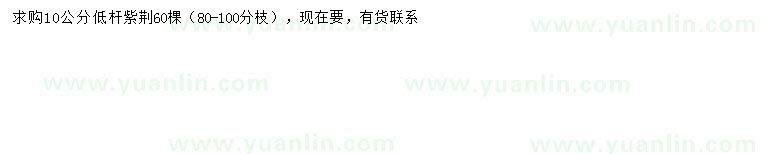 求購10公分紫荊