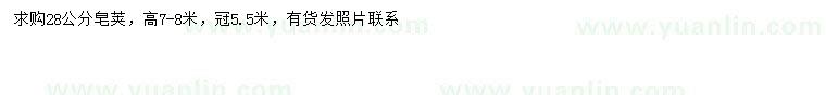 求購28公分皂莢