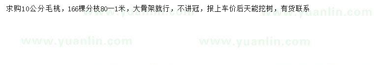 求購10公分毛桃