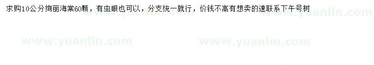 求購(gòu)10公分絢麗海棠