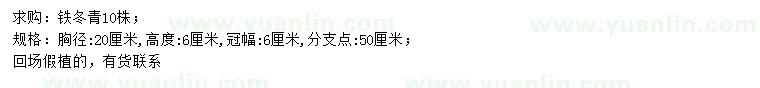 求購胸徑20公分鐵冬青