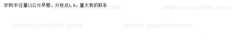 求購(gòu)米徑12公分早櫻