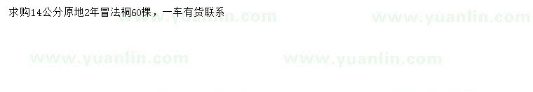 求購(gòu)14公分法桐