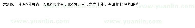 求購8公分紫葉李