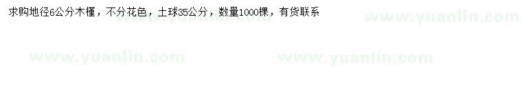 求購地徑6公分木槿