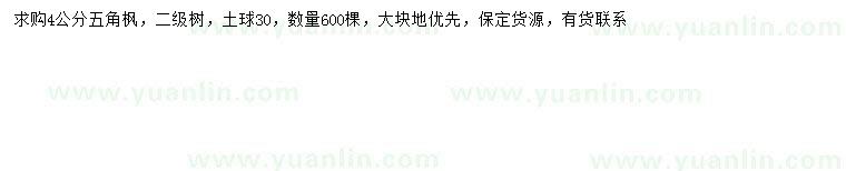 求購4公分五角楓