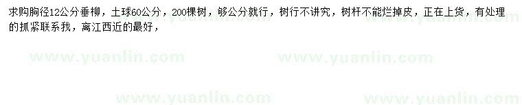 求購胸徑12公分垂柳