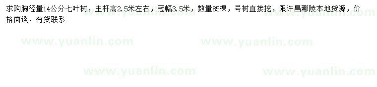 求購胸徑14公分七葉樹