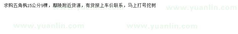 求購15公分五角楓