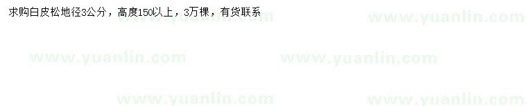 求購地徑3公分白皮松
