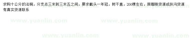 求購10公分法桐