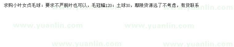求購(gòu)冠幅120公分小葉女貞球