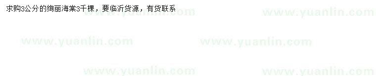 求購(gòu)3公分絢麗海棠